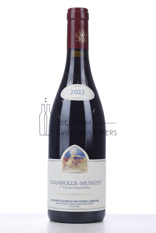 Image de 2022 CHAMBOLLE MUSIGNY LES FEUSSELOTTES